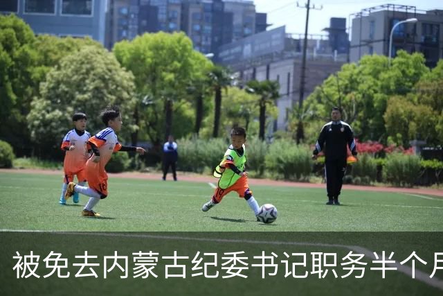 被免去内蒙古纪委书记职务半个月后，刘爽有了新消息